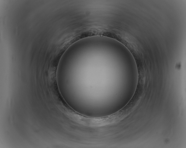 X0000091590034200708201240