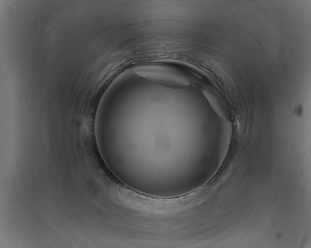 X0000091590035200708201240
