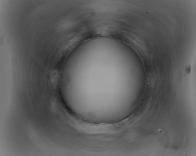 X0000091590036200708201240