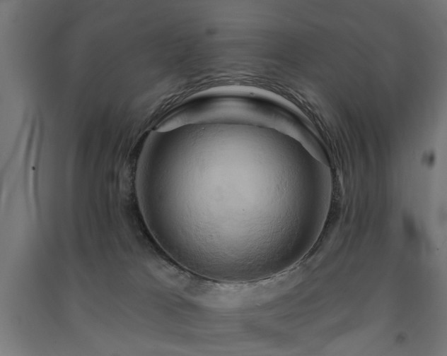 X0000091590037200708201240