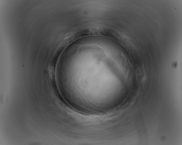 X0000091590038200708201240