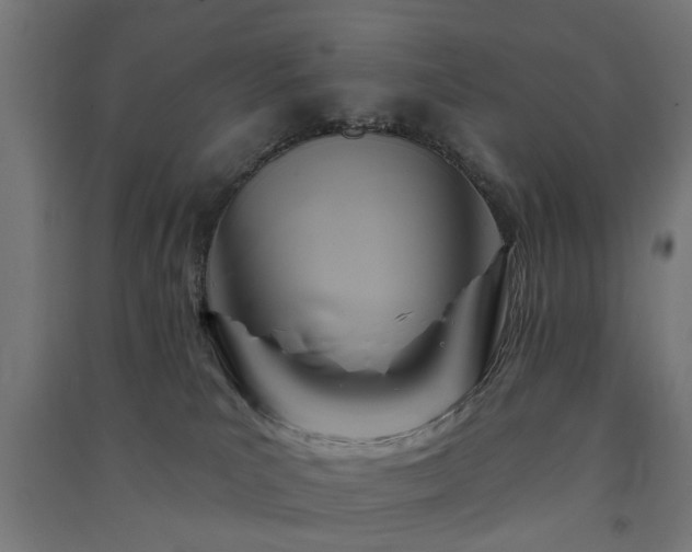 X0000091590039200708201240