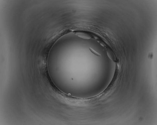 X0000091590040200708201240
