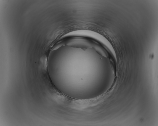 X0000091590041200708201240