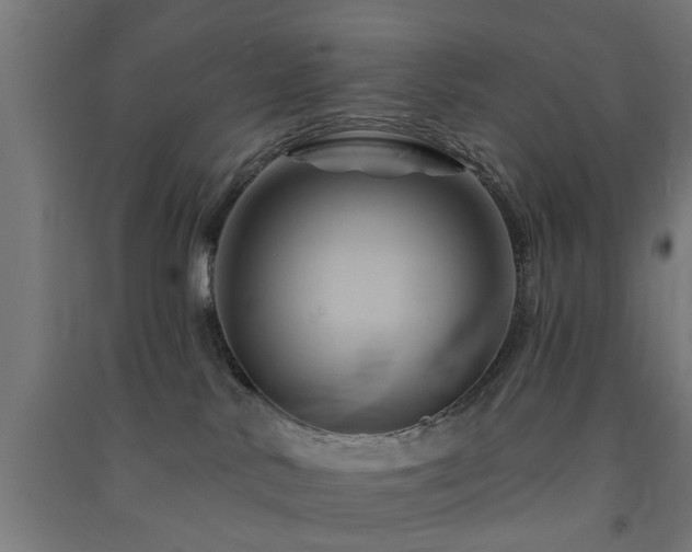X0000091590042200708201240
