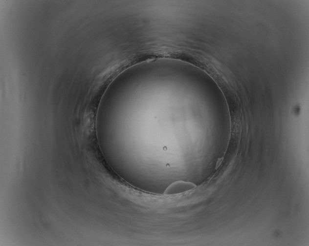 X0000091590043200708201240