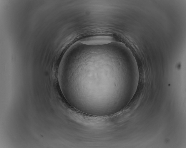 X0000091590044200708201240