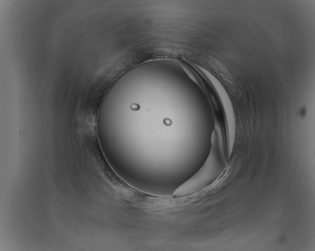 X0000091590045200708201240