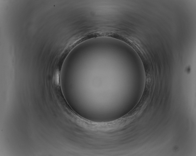 X0000091590046200708201240