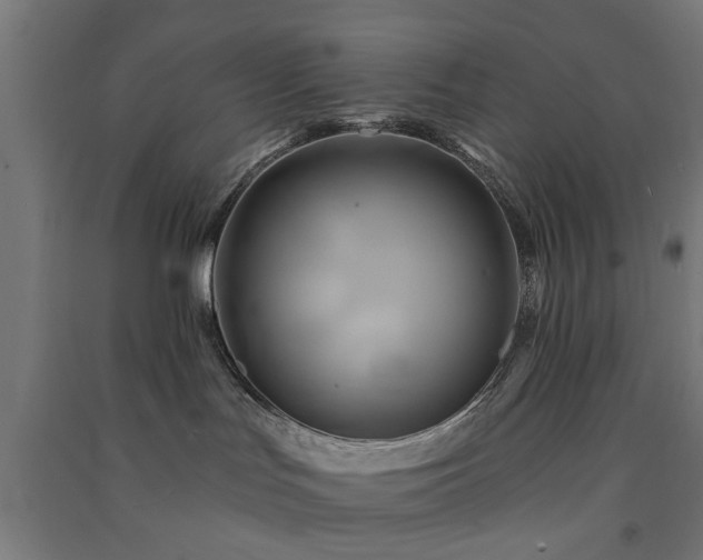 X0000091590047200708201240