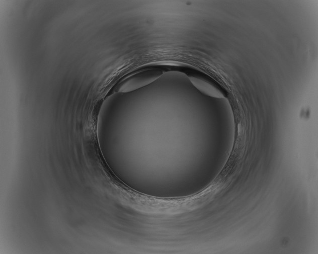 X0000091590048200708201240