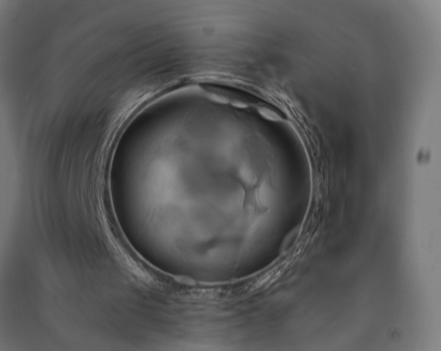 X0000091590049200708201239