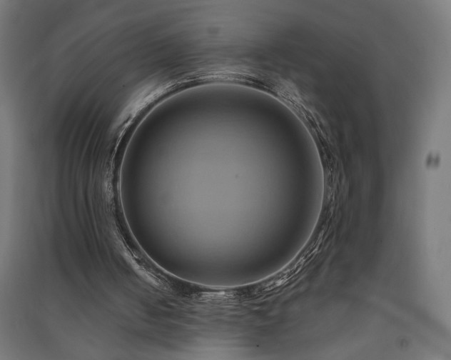 X0000091590050200708201239