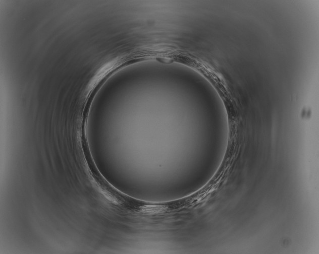 X0000091590051200708201239