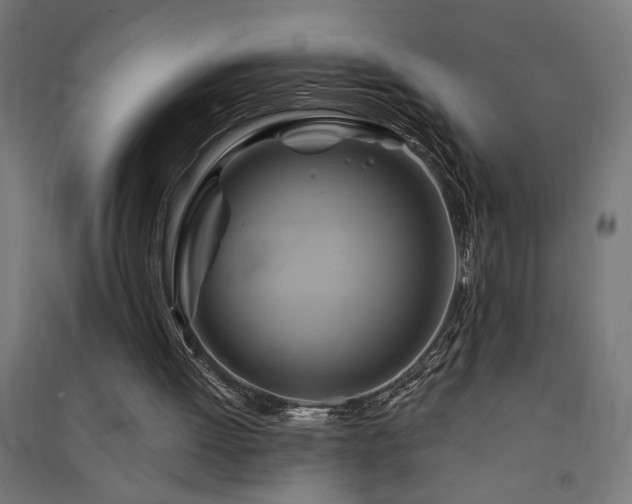 X0000091590052200708201239