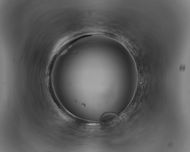 X0000091590053200708201239