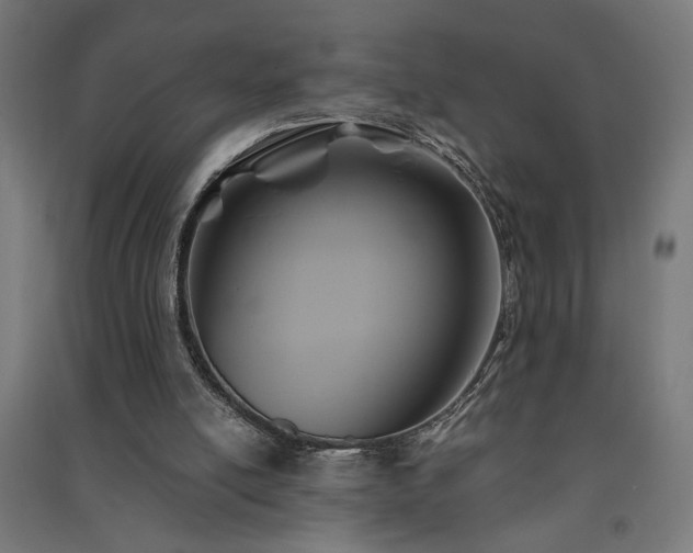 X0000091590054200708201239
