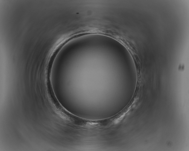 X0000091590055200708201239