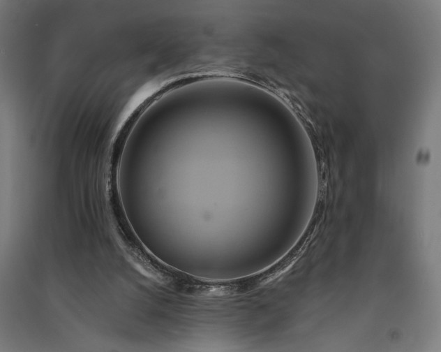 X0000091590056200708201239