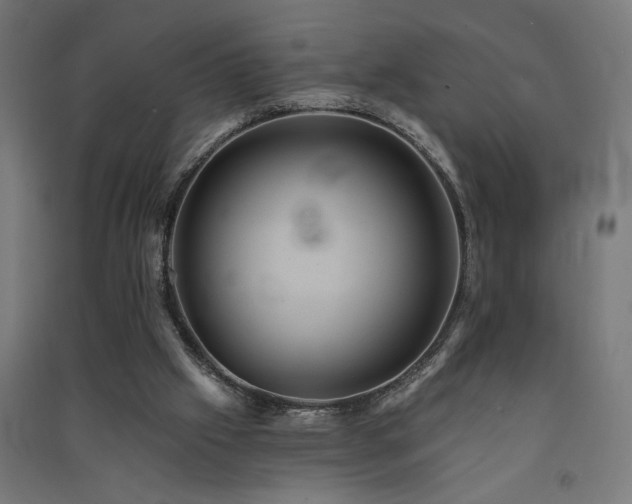 X0000091590057200708201239