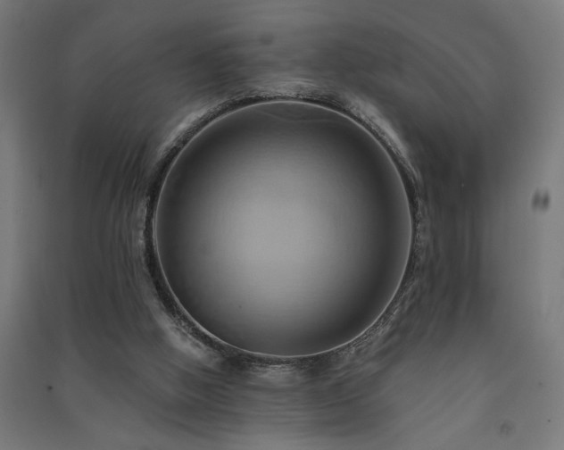 X0000091590058200708201239