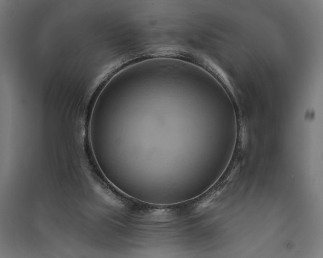 X0000091590059200708201239