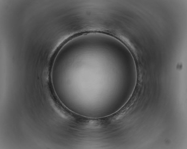 X0000091590060200708201239