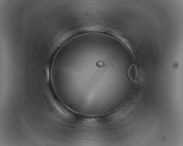 X0000091590061200708201239