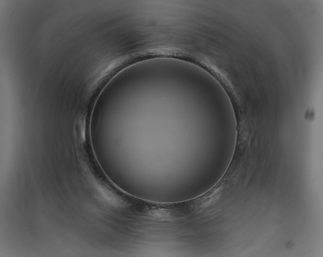 X0000091590062200708201239