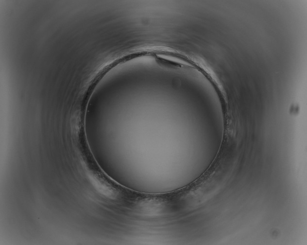X0000091590063200708201239