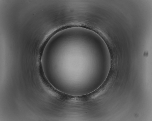 X0000091590064200708201239