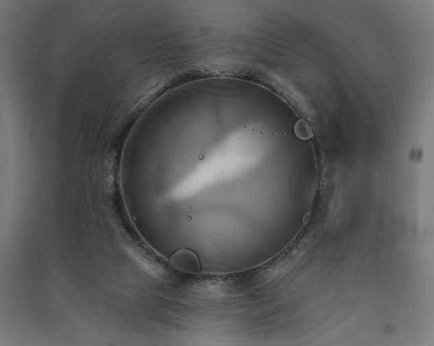 X0000091590065200708201239