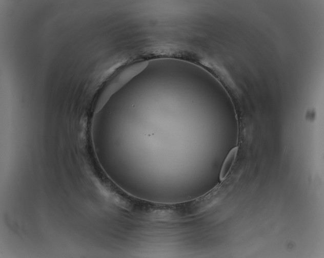 X0000091590066200708201239