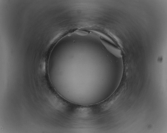 X0000091590067200708201239