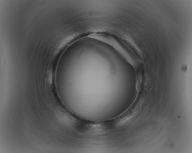 X0000091590068200708201239