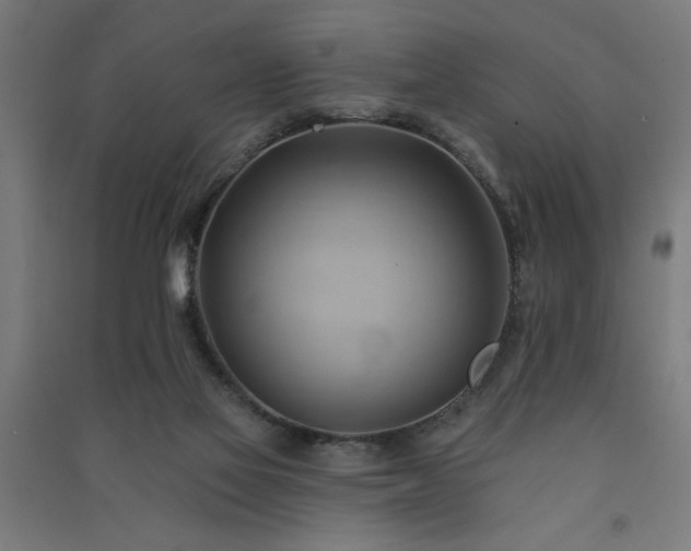 X0000091590069200708201239