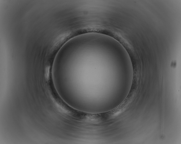 X0000091590070200708201239