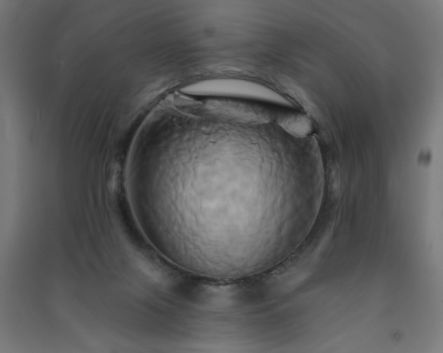 X0000091590071200708201239