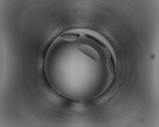 X0000091590072200708201239