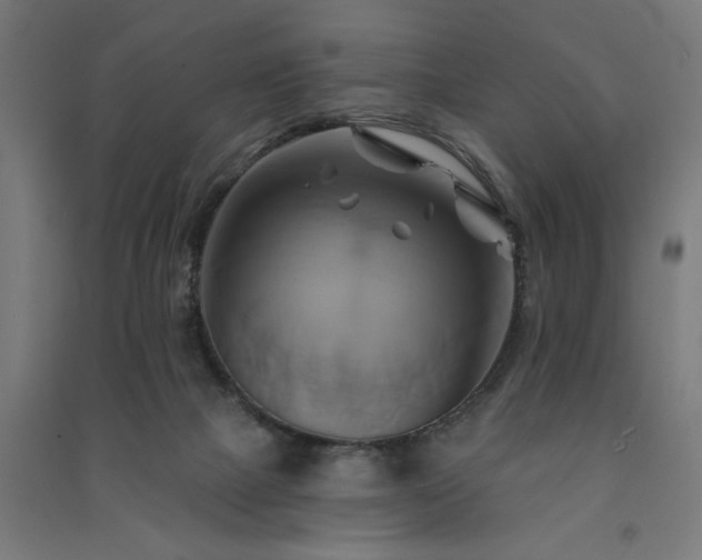 X0000091590073200708201239