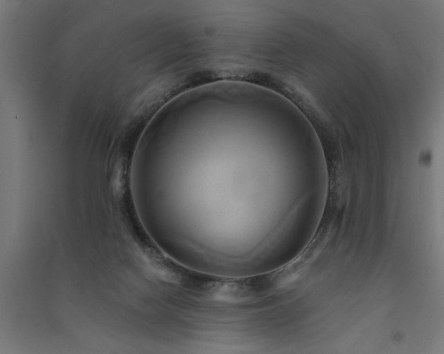 X0000091590074200708201239