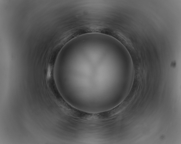 X0000091590075200708201239