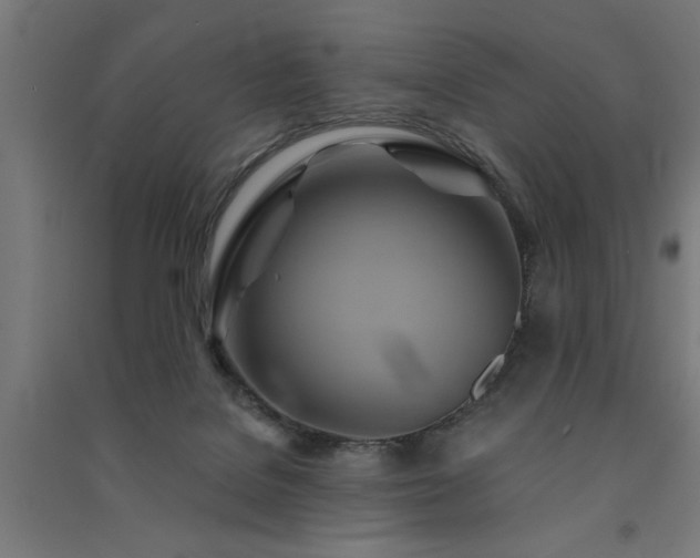X0000091590076200708201239