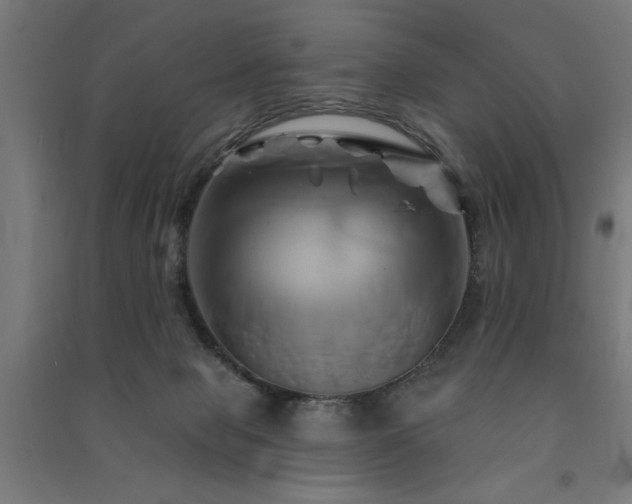 X0000091590077200708201239