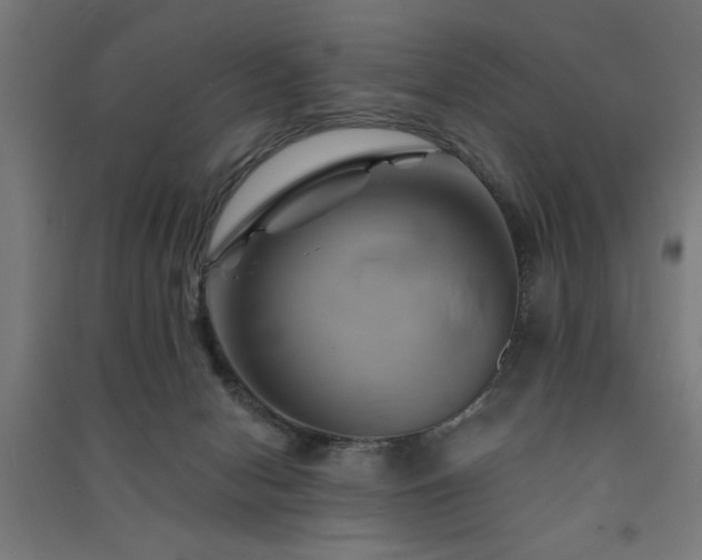 X0000091590078200708201239