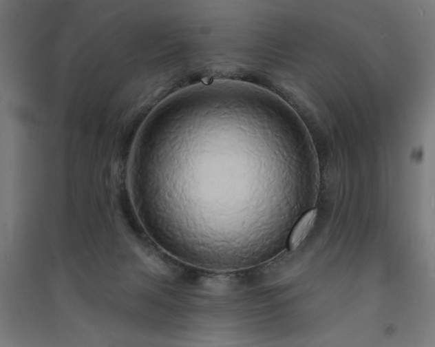 X0000091590079200708201239