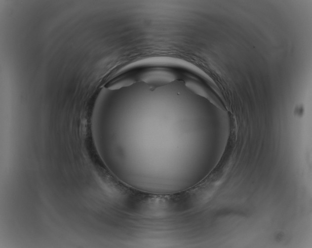 X0000091590080200708201239