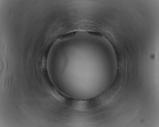 X0000091590081200708201239
