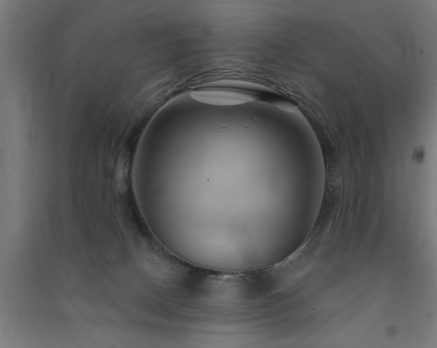 X0000091590082200708201239