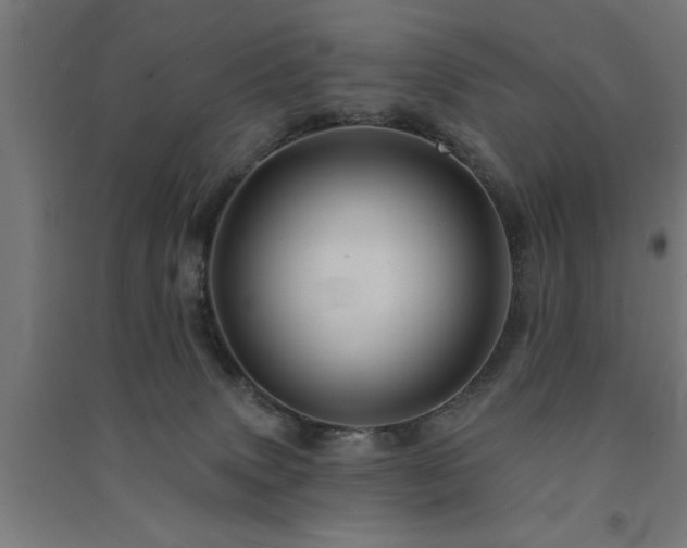 X0000091590083200708201239